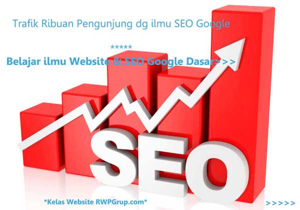 trafik pengunjung dari seo google